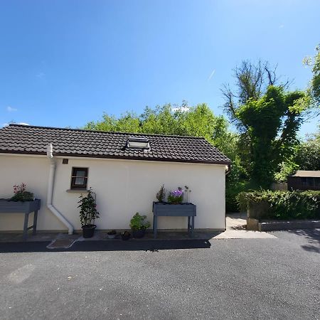 Oak Cottage 3 Km From Rock Of Cashel Cashel  Exterior foto