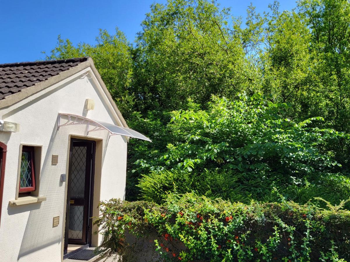 Oak Cottage 3 Km From Rock Of Cashel Cashel  Exterior foto