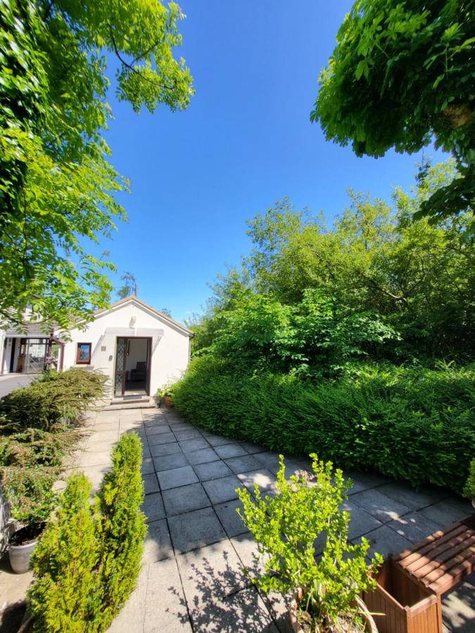 Oak Cottage 3 Km From Rock Of Cashel Cashel  Exterior foto