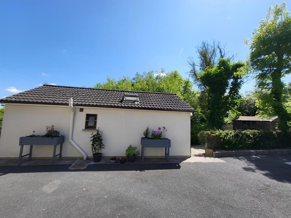 Oak Cottage 3 Km From Rock Of Cashel Cashel  Exterior foto