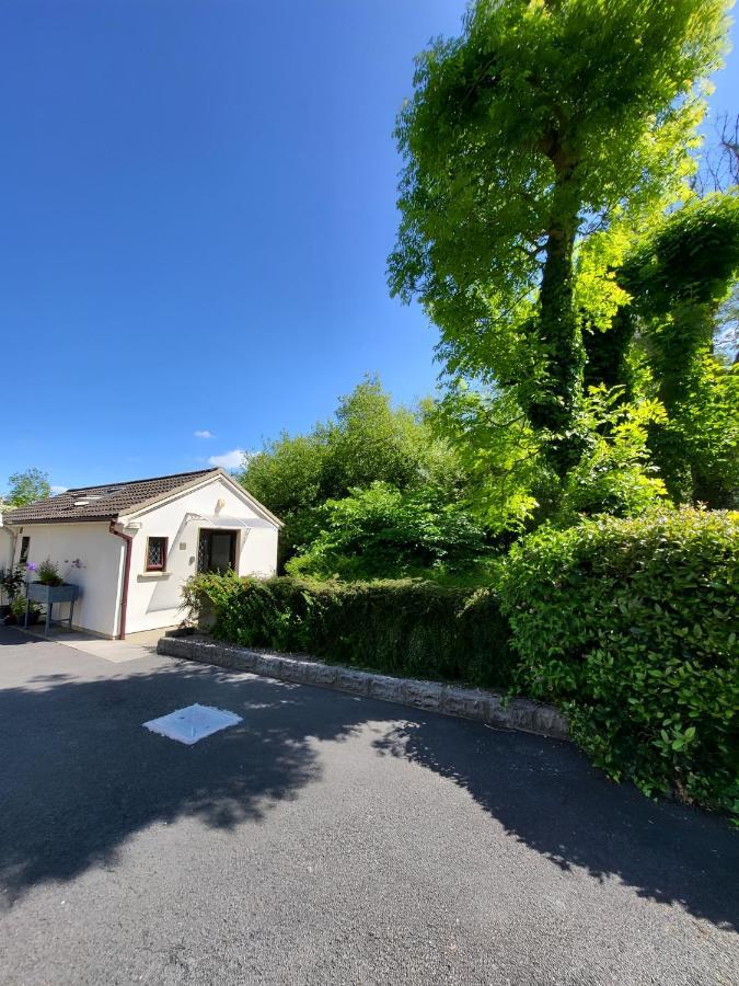 Oak Cottage 3 Km From Rock Of Cashel Cashel  Exterior foto